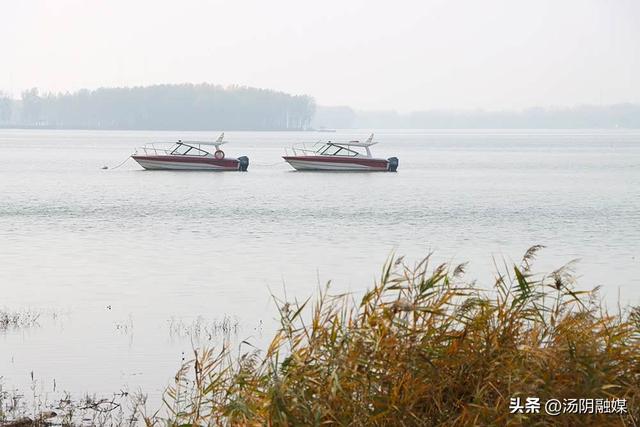 【图说岳乡】汤阴汤河国家湿地公园：初冬染彩 秋韵未歇