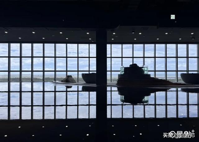 台中海洋馆 水母池艺术级水族体验 莲之水槽无敌梦幻