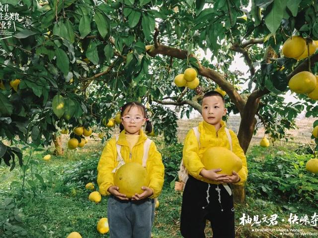 3000余组家庭赴约！文君山野美食文化季燃动暖冬