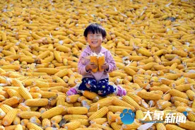 中粮集团总部要迁至郑州？图片