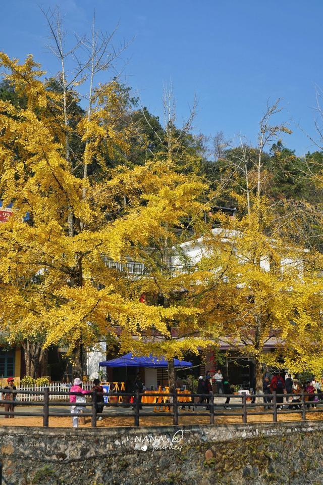 漫游韶关，赴一场山水间的秋日之约