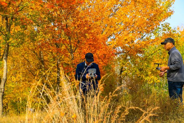 泗水县万紫千红旅游区：静谧而斑斓的生态画卷