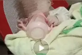 8个月女婴被饿到仅6斤进ICU？官方回应：未发现虐待，父母抚养意愿强烈图片