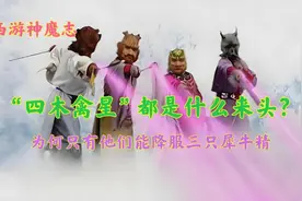 四木禽星都是什么来头，为何只有他们能降服三只犀牛精图片