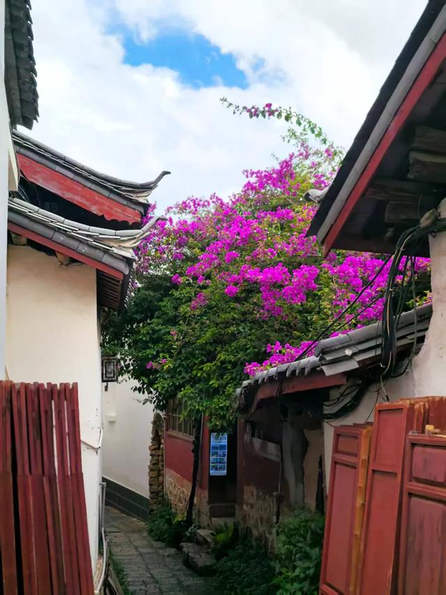 云南：花溪水韵醉丽江！
