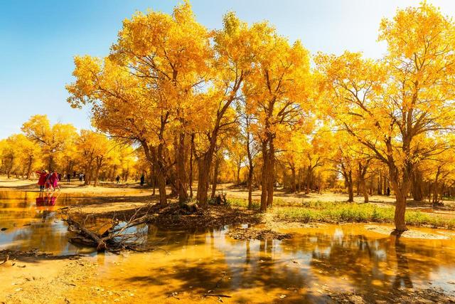 中国十大世界级绝世美景，你去过几个？全部去过的算你厉害！