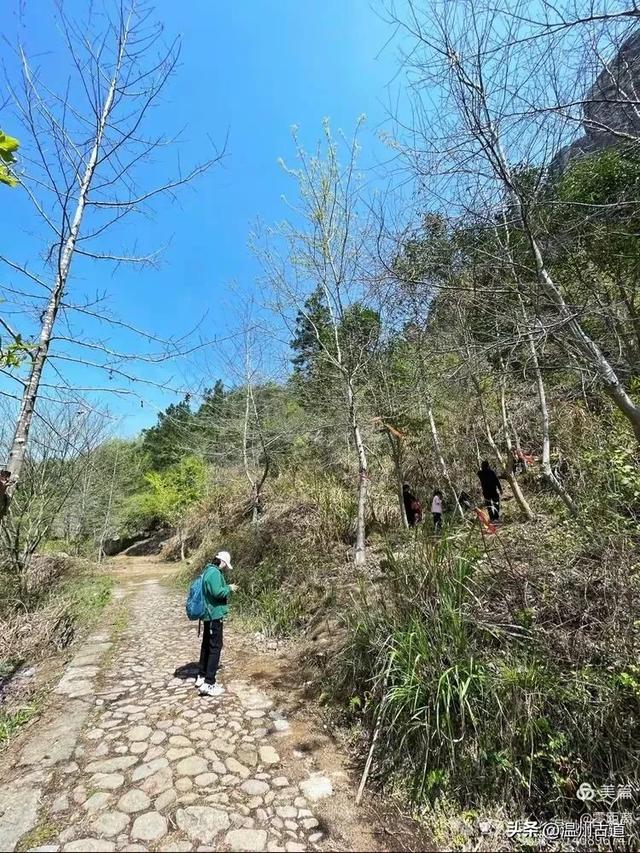 藏于浙江5A景区内有一处“十里铁甲龙”，洞穴众多形态奇特
