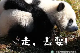 我就静静地看着你俩图片