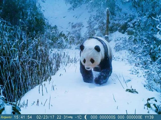 《山水彝乡 宝藏马边》