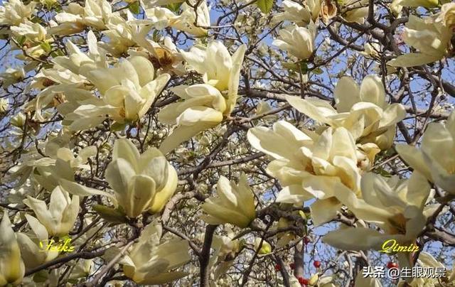 影记 | 春色春景之青州范公亭(上)