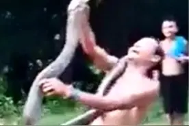 男子因被眼镜王蛇咬伤后拒绝治疗身亡：过山峰的毒性有多大？图片