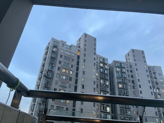 上海风大起来了