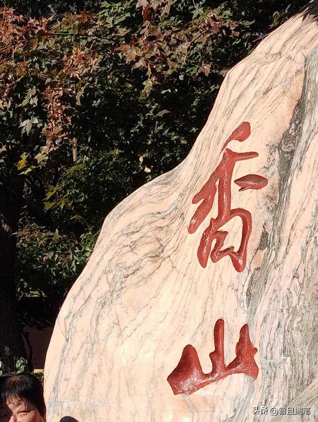 以我4次经历，带你打卡北京香山，北京的朋友请补充