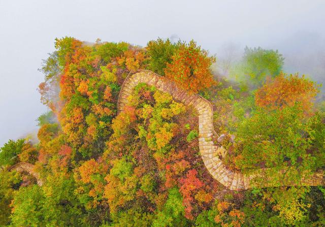 半山云海半山秋色