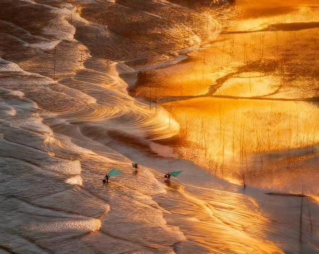 福建霞浦,金色的滩涂,蓝色的海