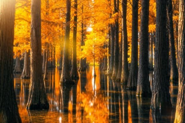 自驾四明山，邂逅江南醉美秋色：2日漫游云海、古村与童话森林