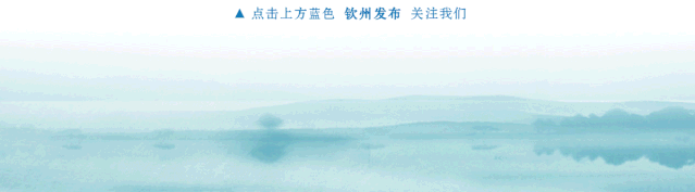 浦北，实力出圈！