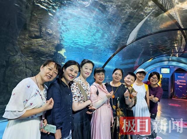 无偿献血再添新福利！武汉献全血累计达1000毫升可免费游玩东湖海洋世界