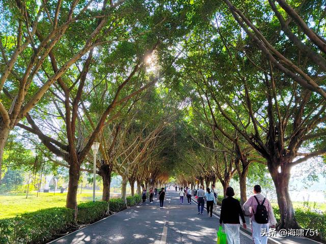 从化风云岭森林公园