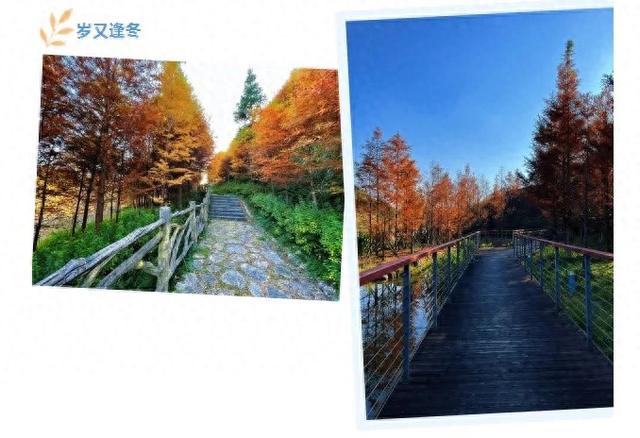 现在的黔南，已经美成这样了→