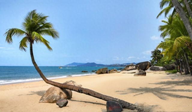 黎述盛：三亚冬野递景图