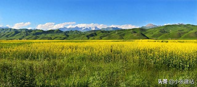 沧州网站推广优化（如何做一个网站的优化 看这篇文章就够了）