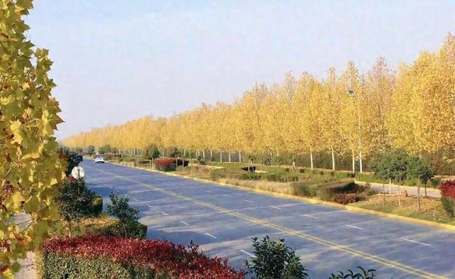 临潼河堤路的冬，是美拉德色系的极致浪漫→