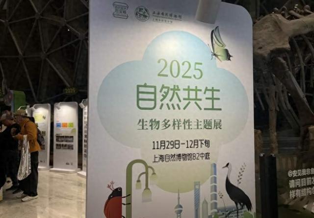 上海自然博物馆“奇妙夜”来啦！生物多样性新展开幕、听音乐会、逛非遗集市……博物馆入夜更精彩