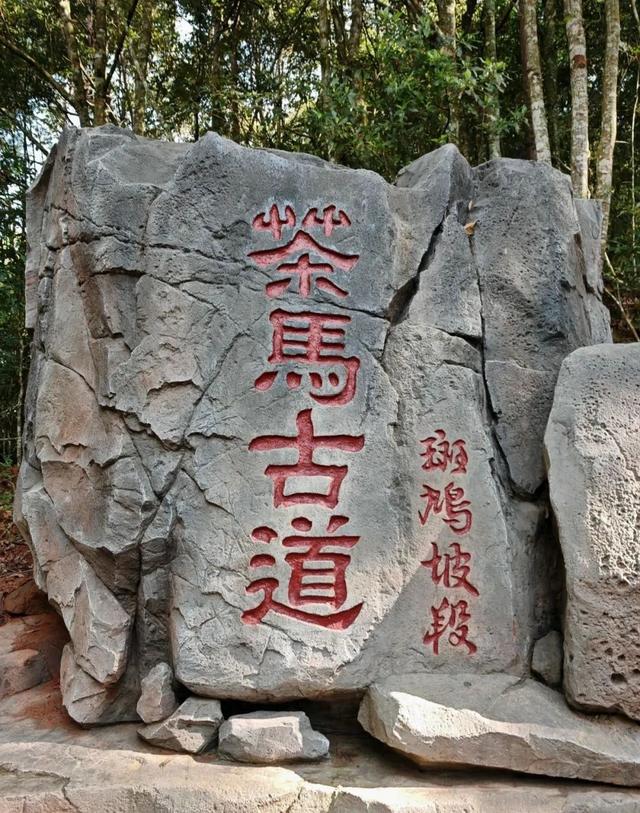 欢迎加入“马帮队伍”！一起重走普洱茶马古道