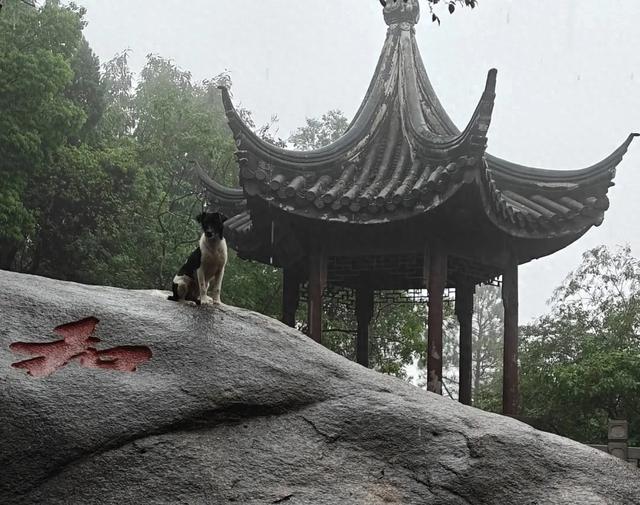 晨上灵岩山