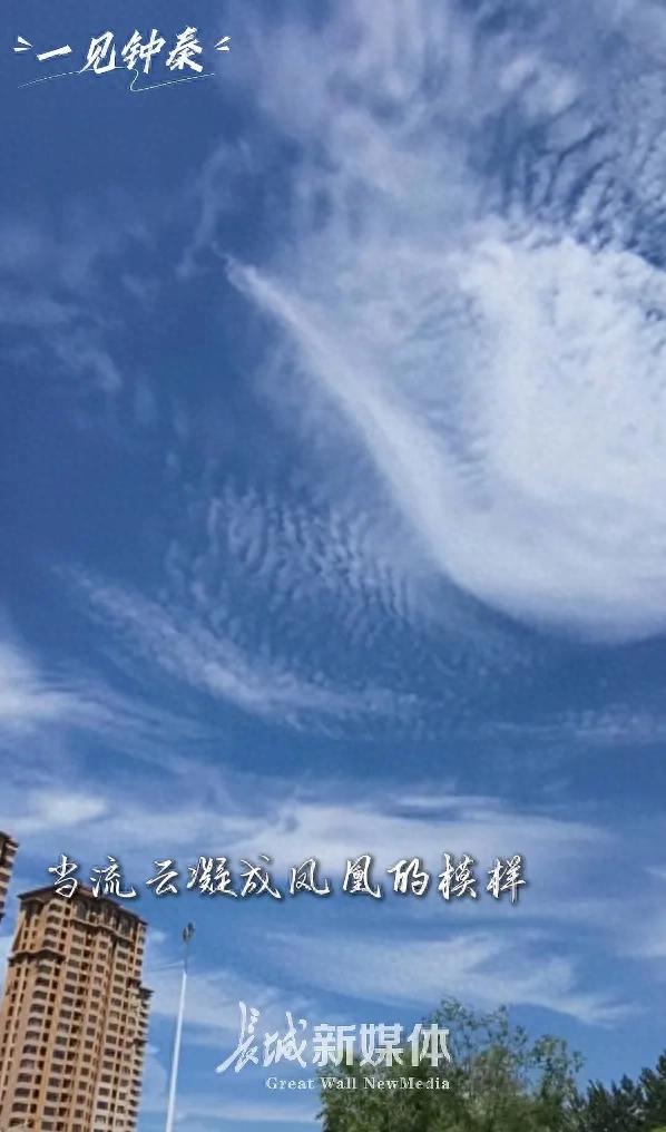 秦皇岛今天怎么了？