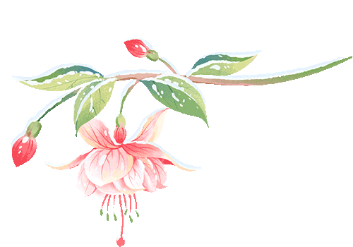 闽清夜游打卡点！梅溪休闲栈道夜景您见过么？太美了！