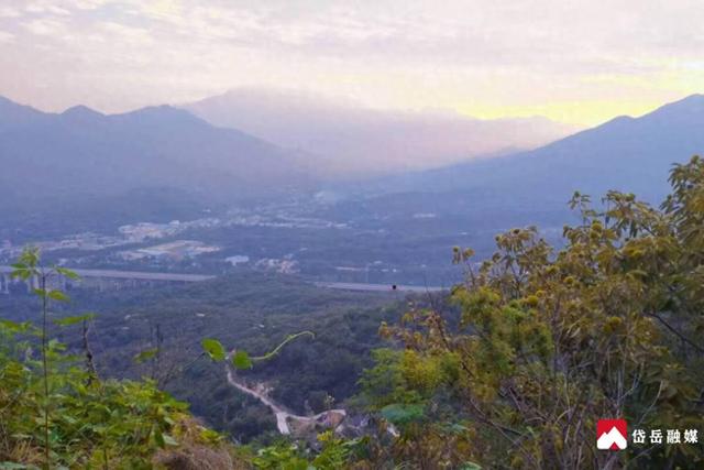 山东省泰安市岱岳区黄前镇双山村：藏在云端的民宿 慢享天然氧吧