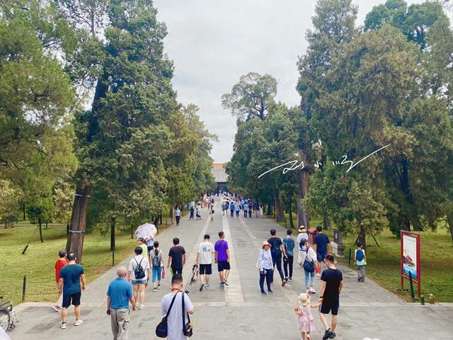 为什么现在很多人宁愿一个人独行，也不愿意和亲戚一起出去旅游？