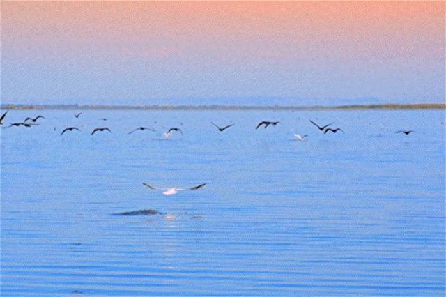 跟着赛事游巴彦淖尔｜2026足球狂欢季，解锁河套潮酷玩法