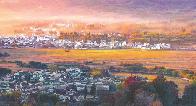 初冬美景入画来