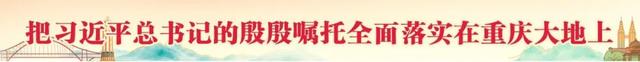 菊金、花雪、风车舞，酉阳秋日浪漫在等你