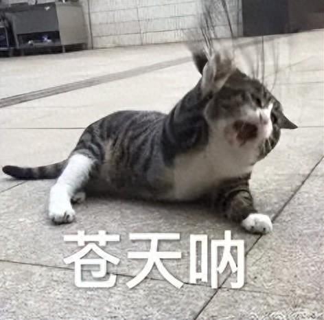 AI搜索一夜变天，专为Agent做搜索的赛道能否诞生百亿美金新巨头?