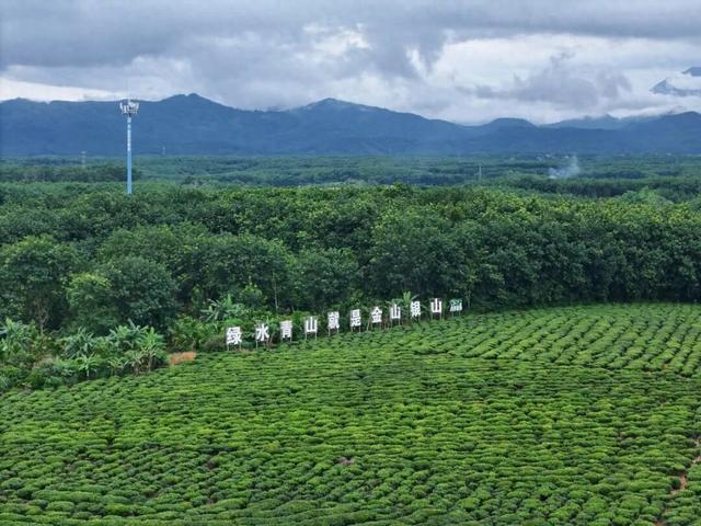 白沙喜提国家2A级旅游景区，陨石坑生态茶园+集市周末联动玩法请收藏！
