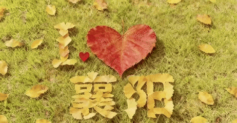 快来打卡！襄城这几地方的秋色太美了……