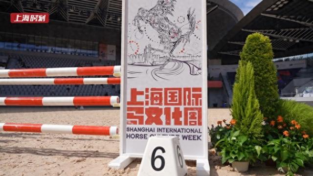 2025上海国际马文化周国庆启幕