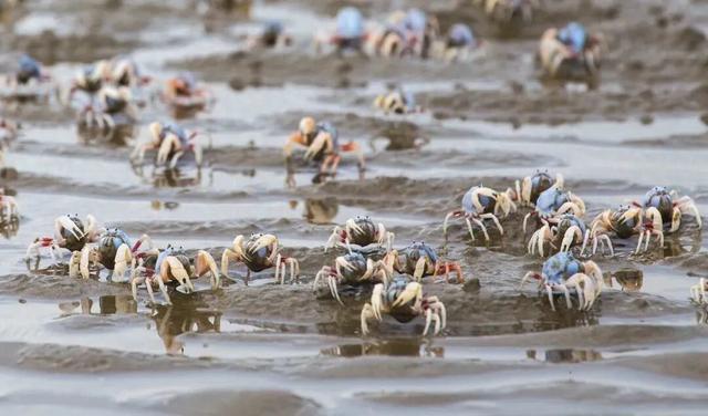 人跟画不基础，跟着宇辉游钦州就更不基础