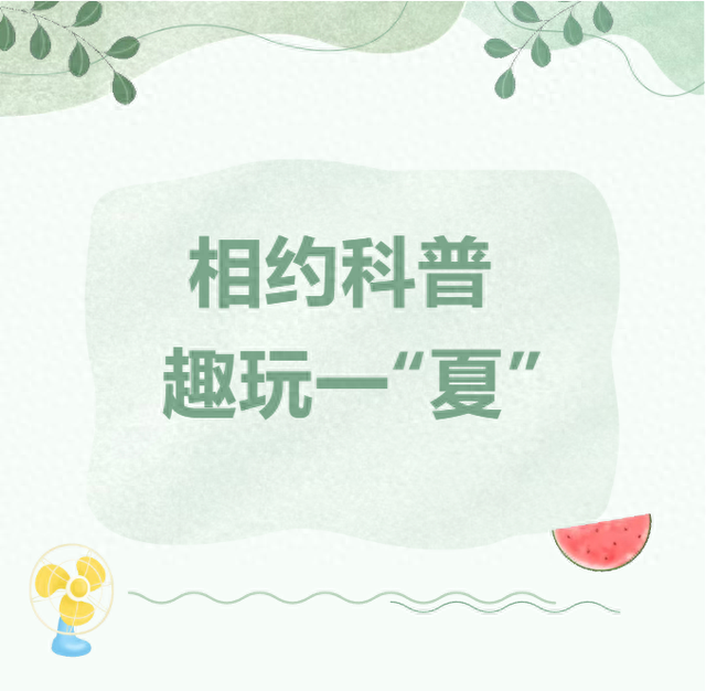 区县动态| 相约科普 趣玩一“夏”