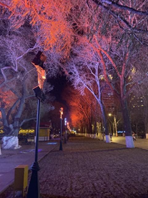 在哈尔滨待了10年的东北姐姐，教你来哈尔滨冬游攻略