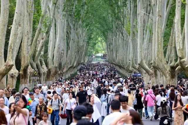 前方记者来报！这是今天的钟山风景区