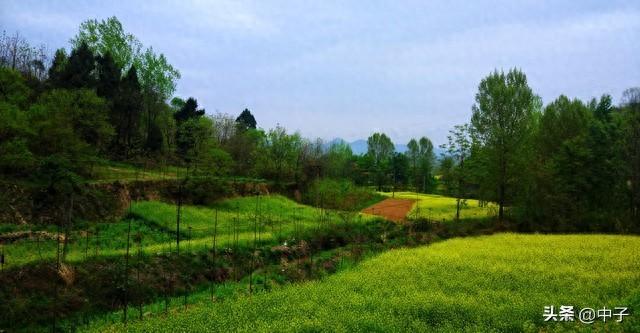 刚刚官宣！全国几十家景区免票，错过再等一年！