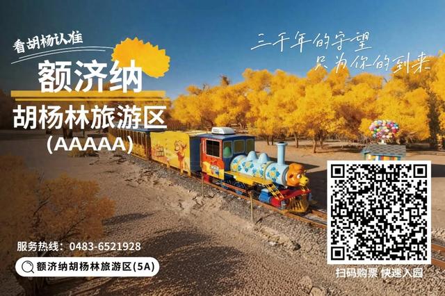 额济纳人游家乡，文旅福利来了！｜99元玩转三大文旅新项目