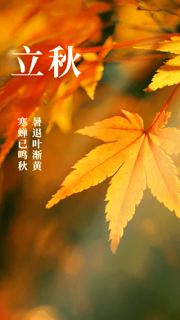 张效忠：立秋（外一首）