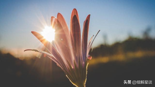 第三名：白羊座，12月25号，接下来23天，得跟你说句大实在话！