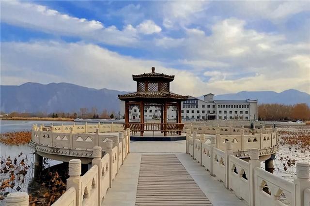 【联动宣传】在白银水川湿地，与冬天第一次握手